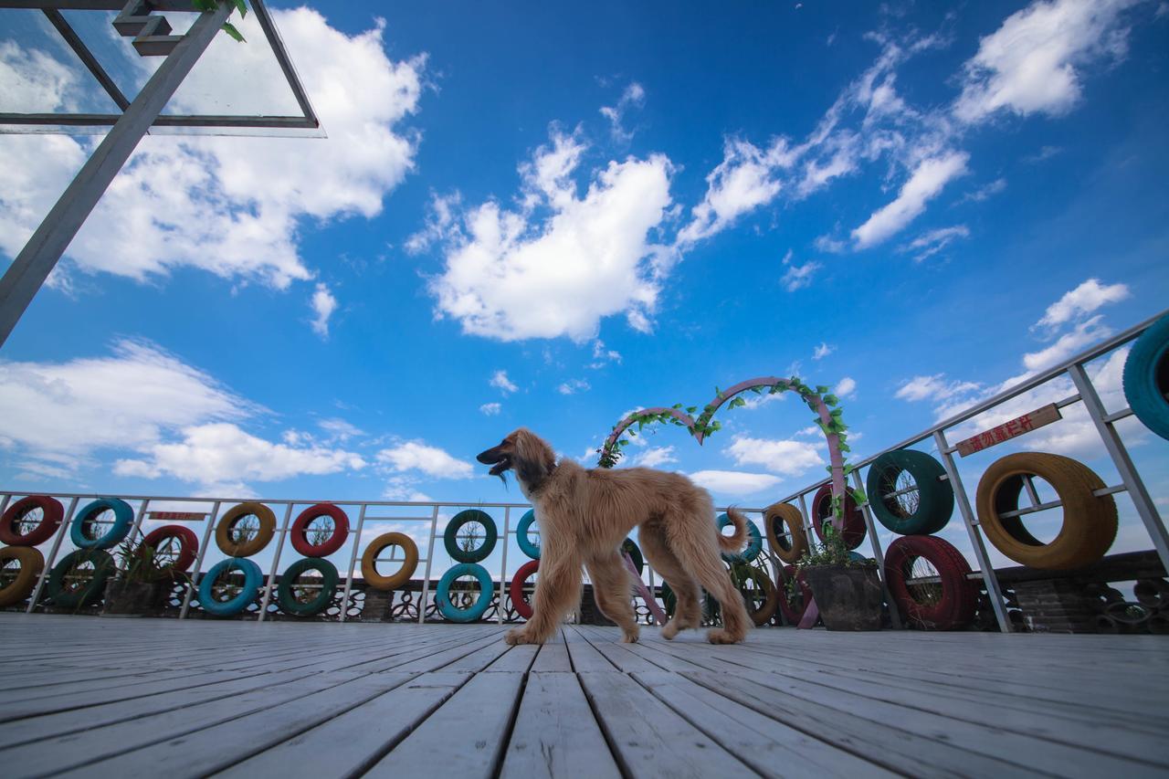 Yinfeng Hotel ต้าหลี่ ภายนอก รูปภาพ
