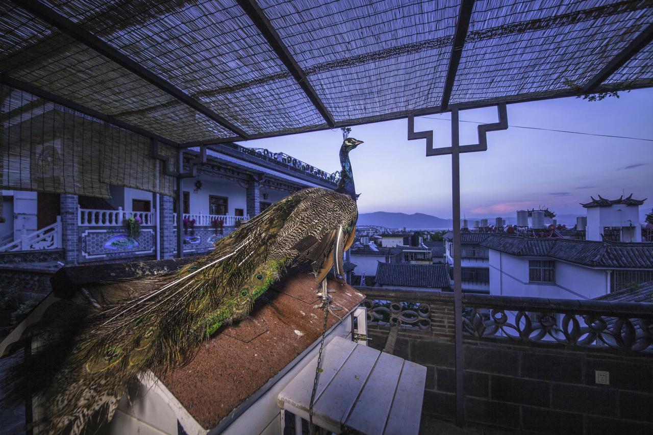 Yinfeng Hotel ต้าหลี่ ภายนอก รูปภาพ